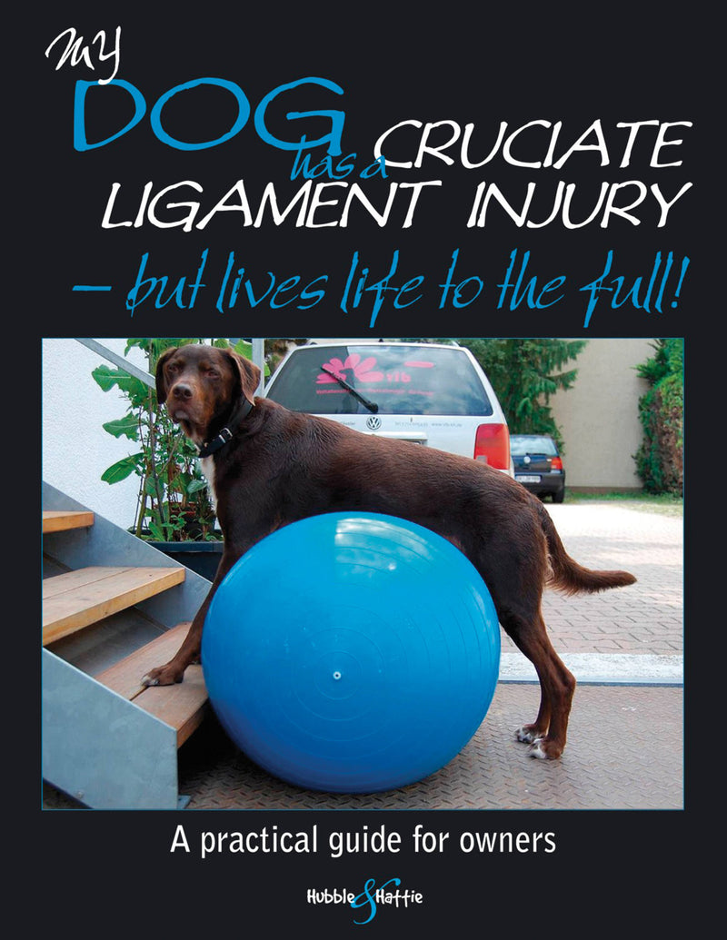 My Dog Has A Cruciate Ligament Injury