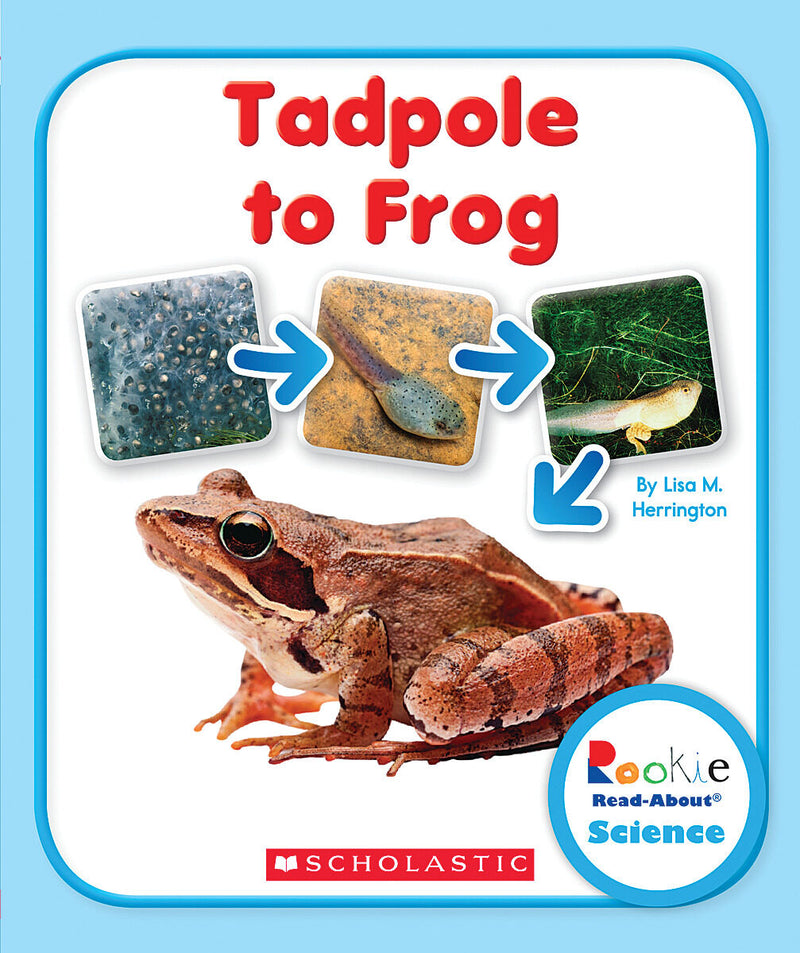 Tadpole to Frog (Rookie Read-About Science: Life Cycles)