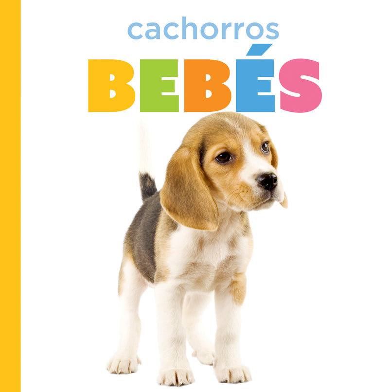 Cachorros bebés
