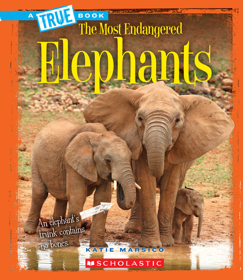 Elephants (A True Book: The Most Endangered) (Library Edition)