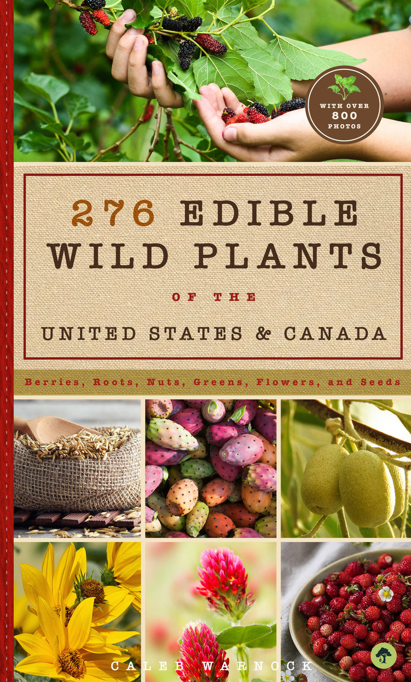 276 Edible Wild Plants Of The United States & Canada