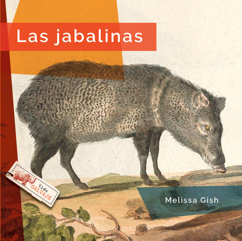 Las jabalinas