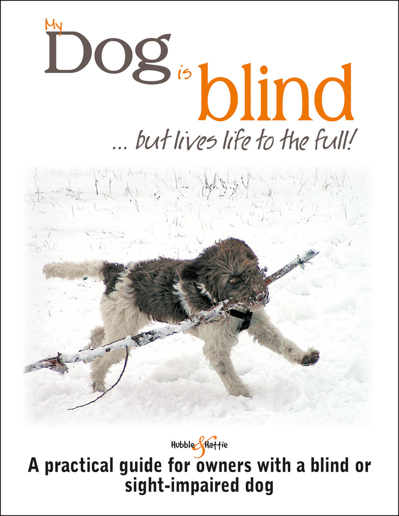 My Dog Is Blind ... but Lives Life to the Full!