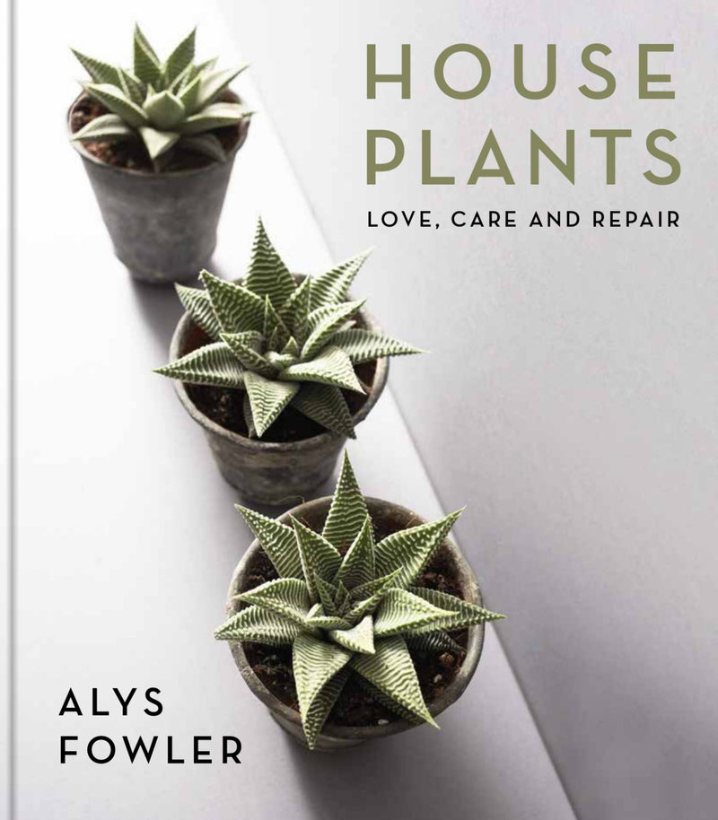 House Plants