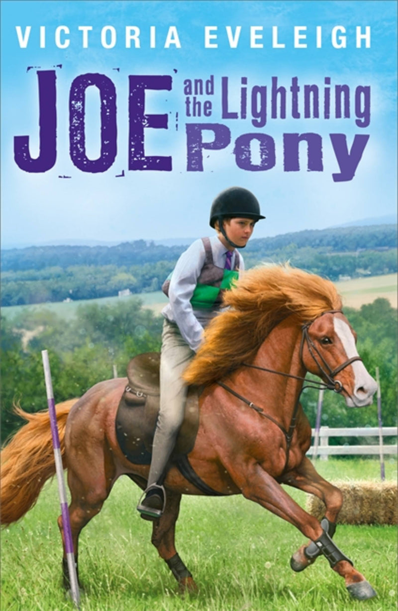 Joe And The Lightning Pony