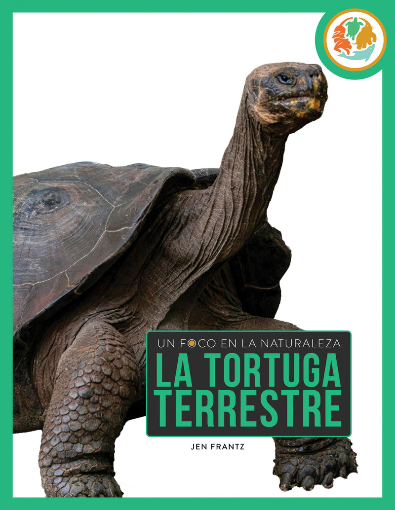 La tortuga terrestre