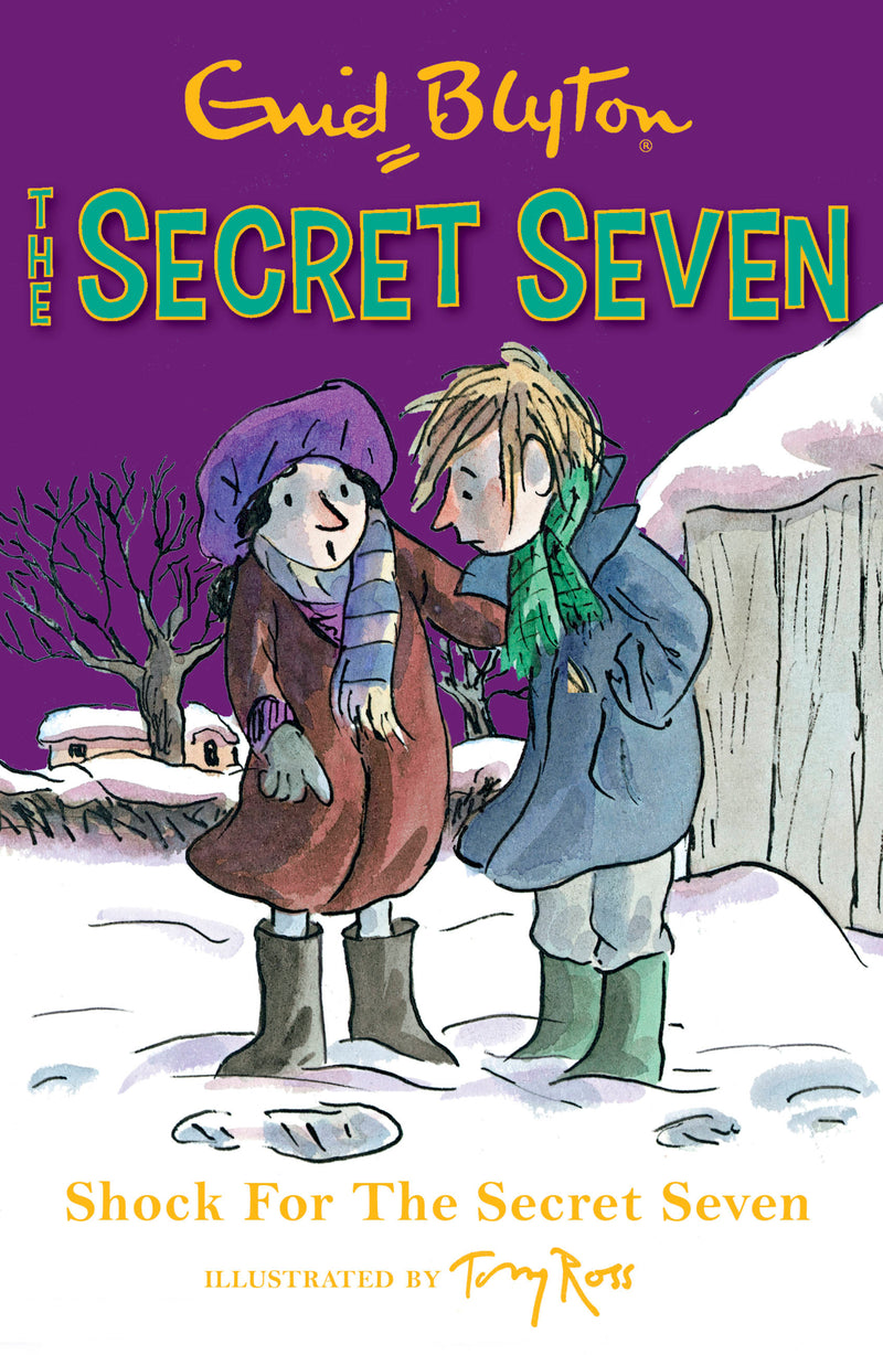 The Secret Seven 13