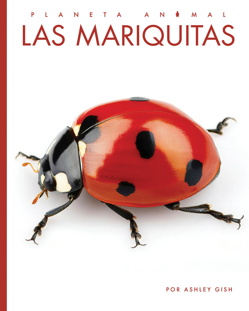 Las mariquitas