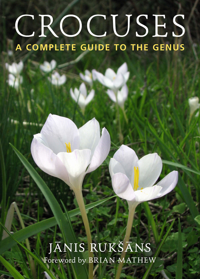Crocuses