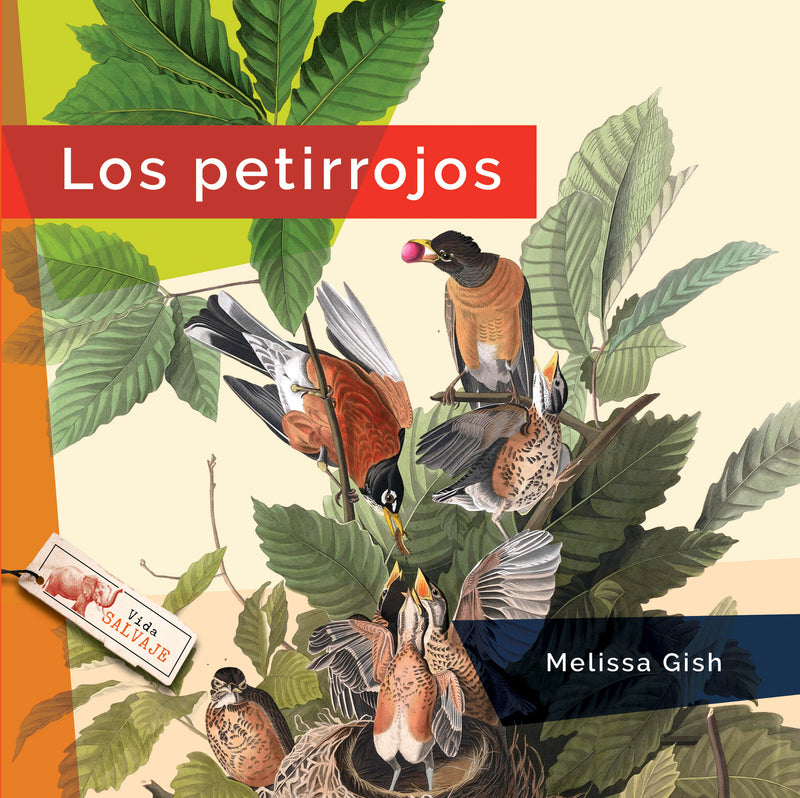 Los petirrojos