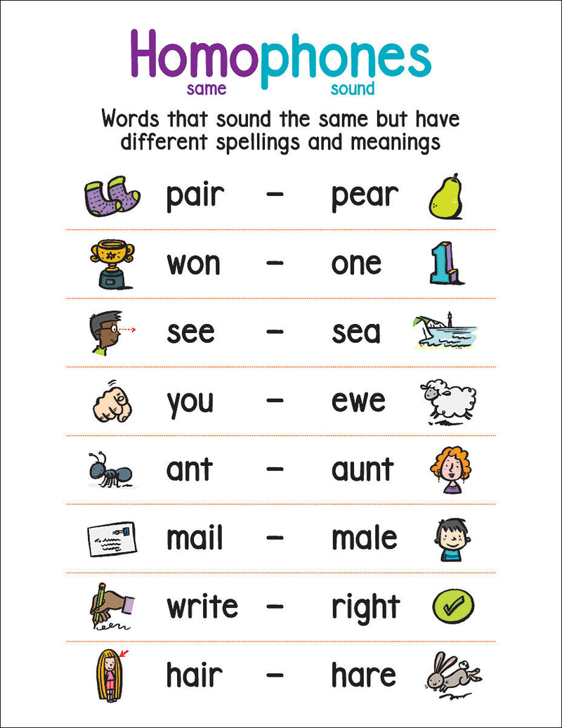 Anchor Chart Homophones