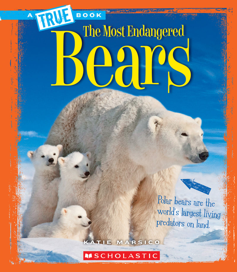 Bears (A True Book: The Most Endangered) (Library Edition)