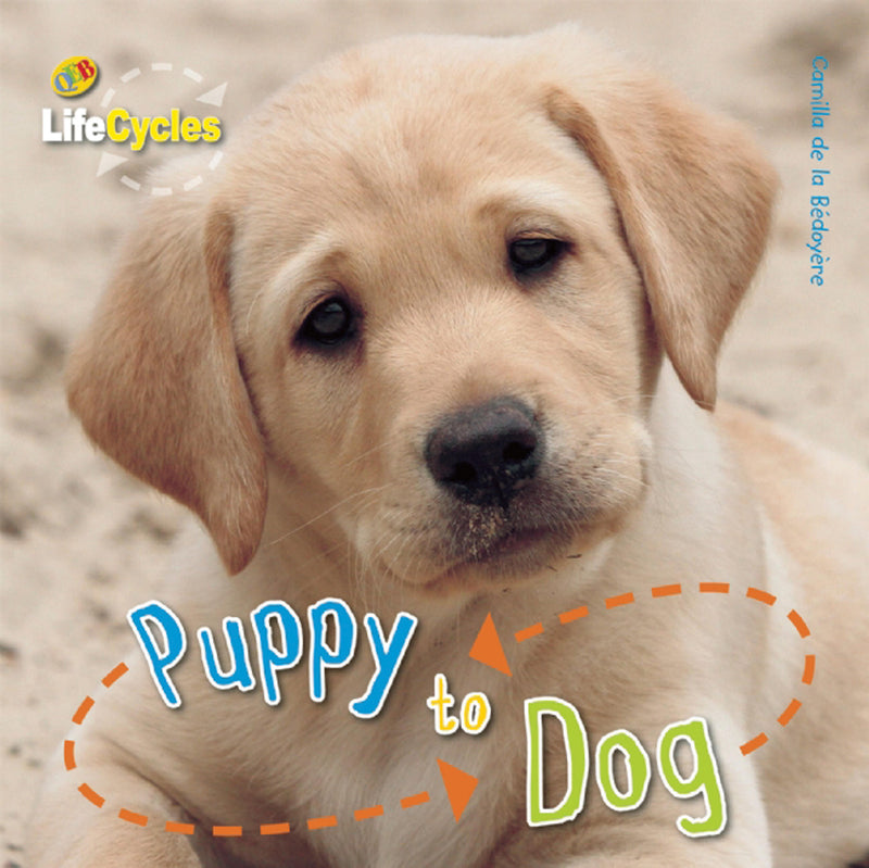 Puppy to Dog