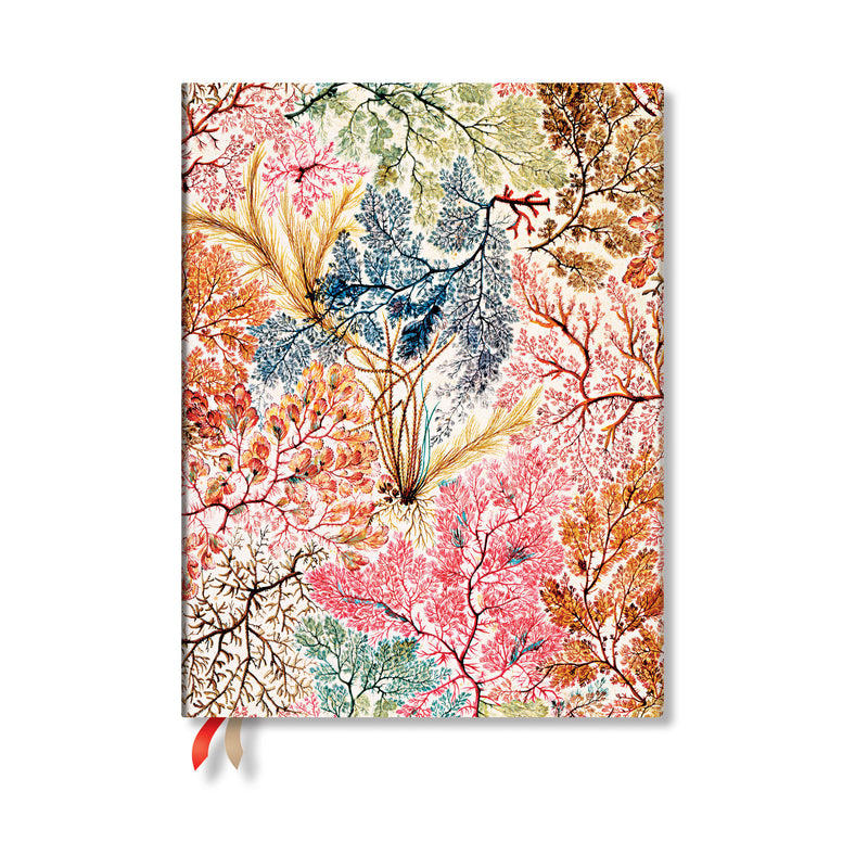 Paperblanks | 2026 Anemone | William Kilburn | Business Planners | Ultra | Business Planner | Elastic Band | 224 Pg | 80 GSM
