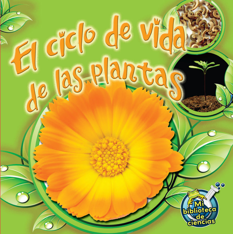 El ciclo de vida de las plantas: Plant Life Cycles