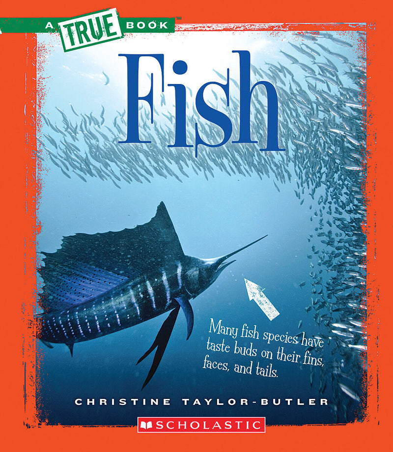 Fish (A True Book: Animal Kingdom) (Library Edition)