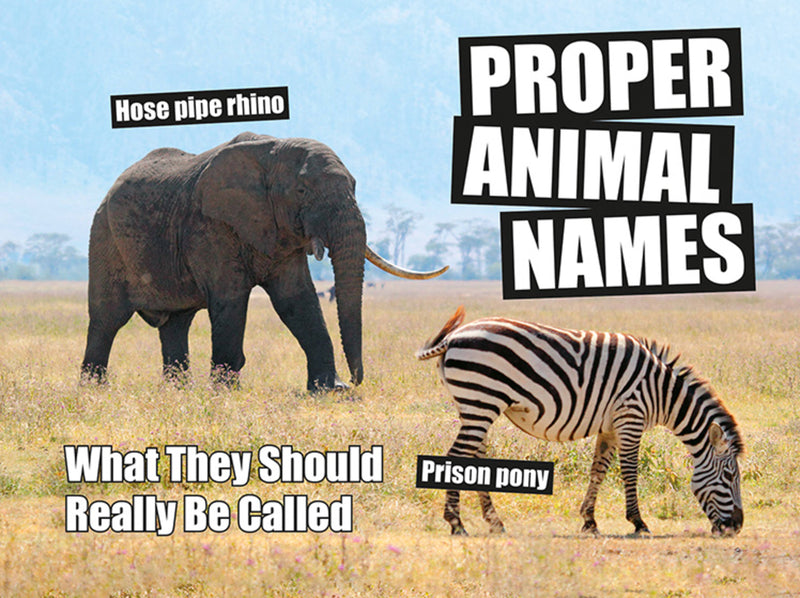 Proper Animal Names