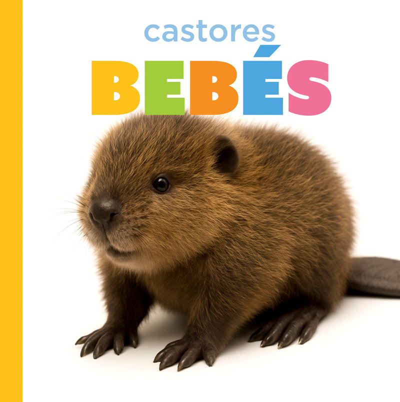Castores bebés