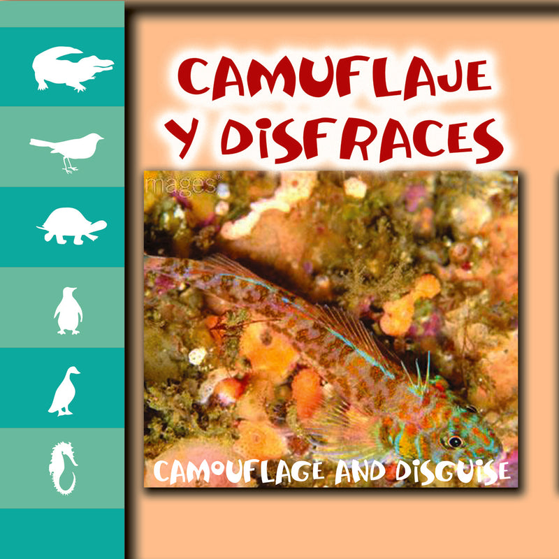 Camuflaje y disfraz: Camouflage and Disguise