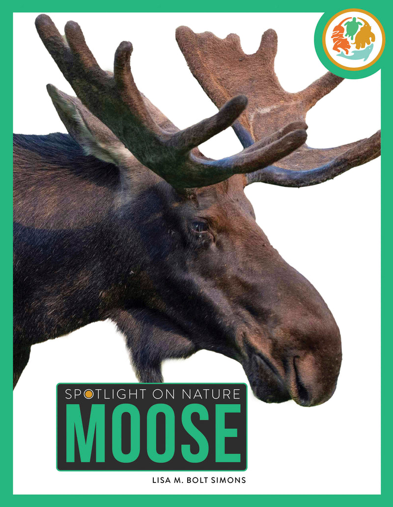Moose