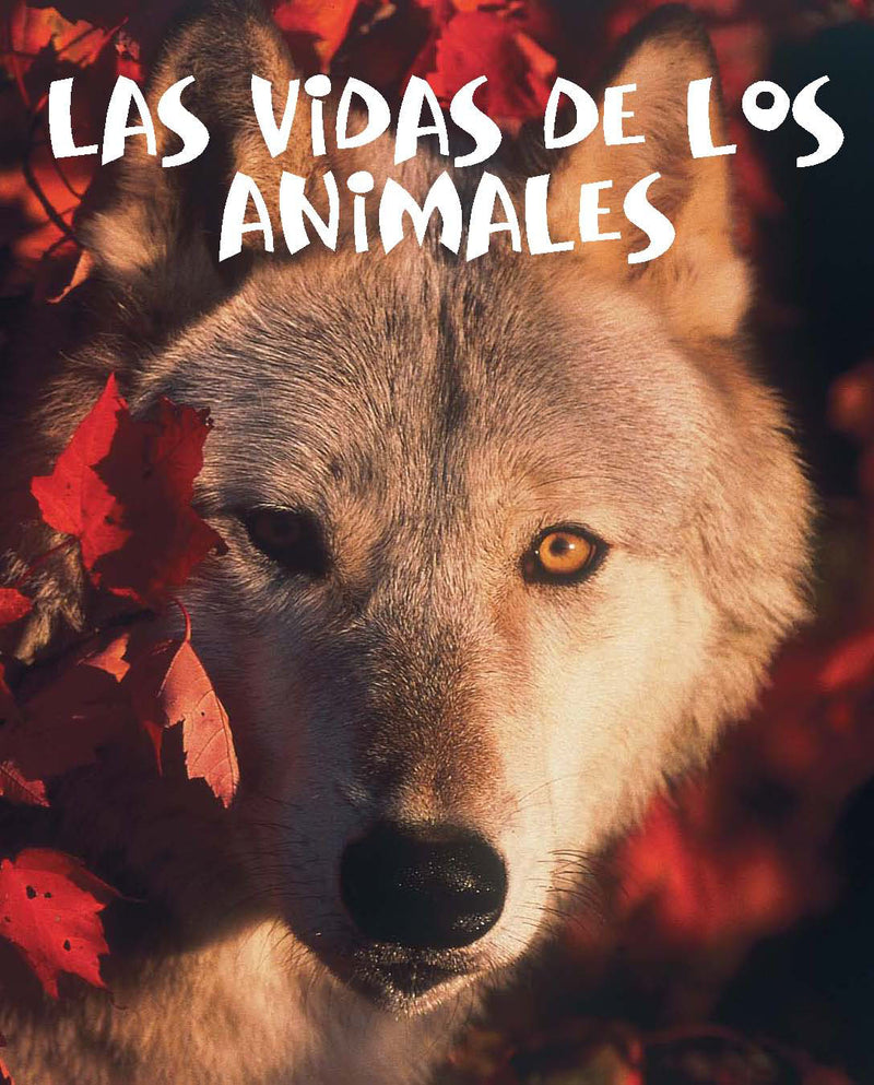 Las vidas de los animales: Animal Lives