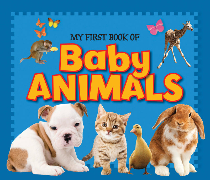 My First Book of Baby Animals