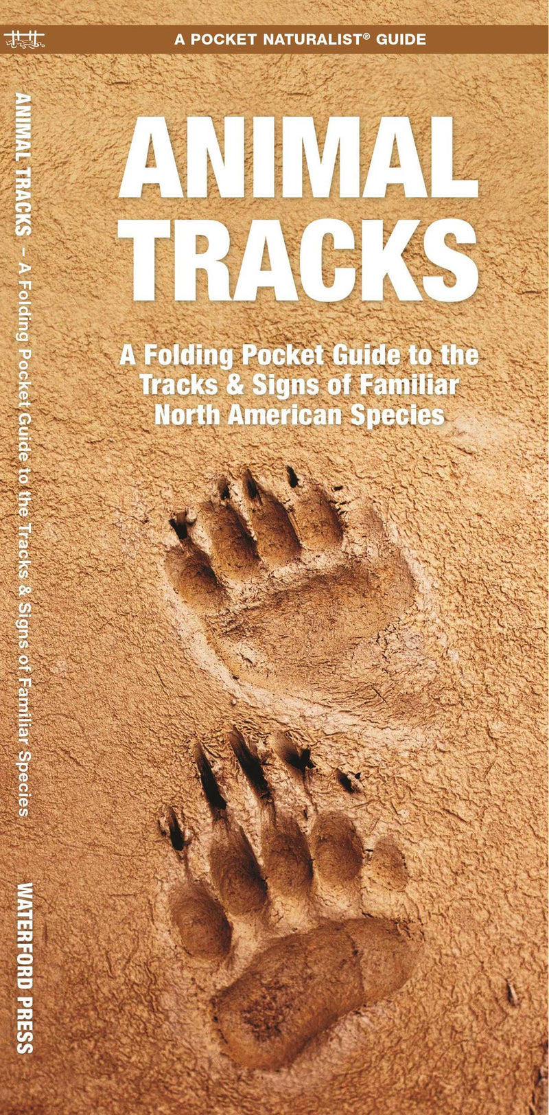 Animal Tracks