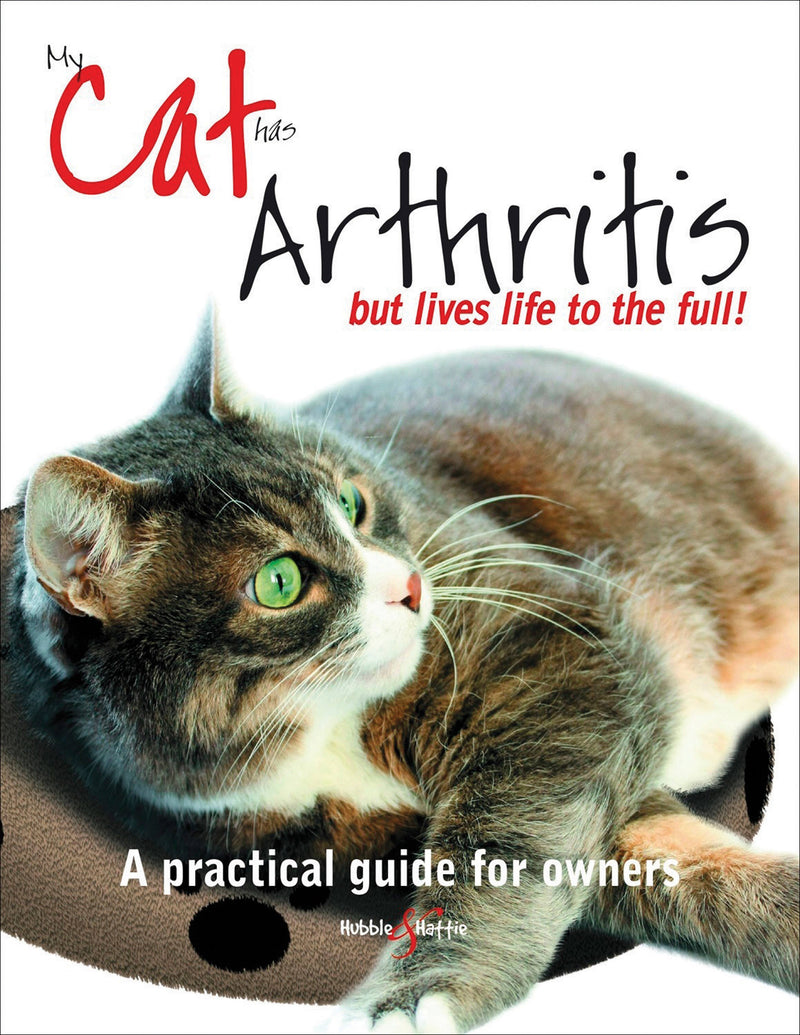 My Cat has Arthritis...but lives life to the fullest!