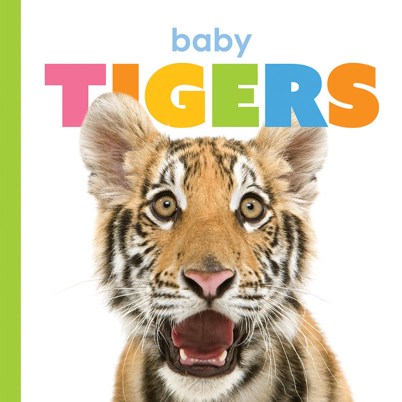 Baby Tigers