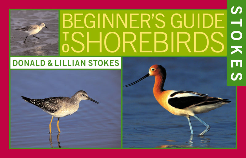 Stokes Beginner's Guide to Shorebirds