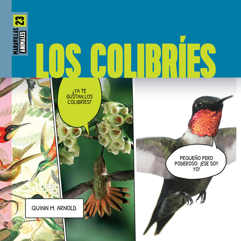 Los colibries