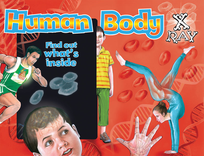 Human Body X-Ray