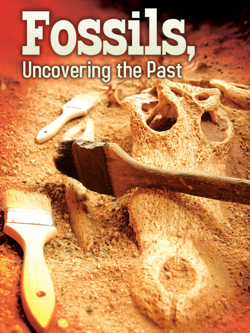 Fossils: Uncovering The Past
