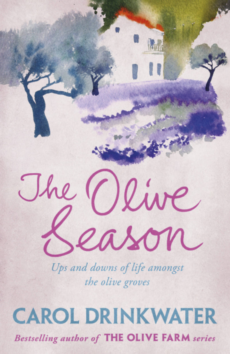 The Olive Season                            