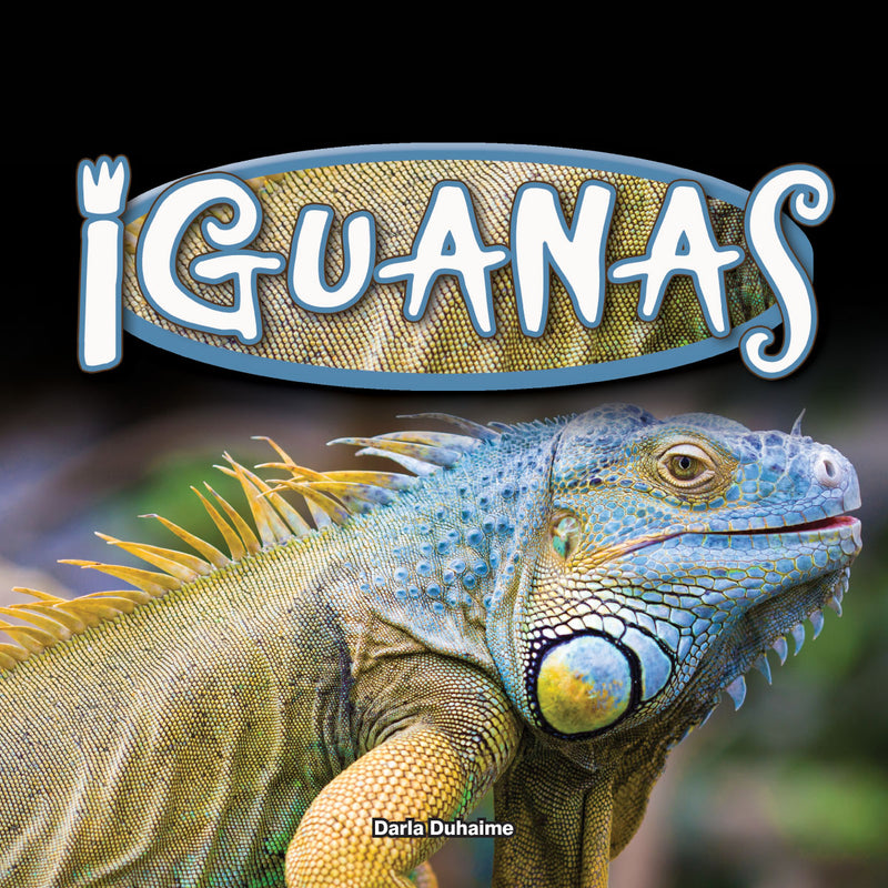 Endangered Birds Around the World