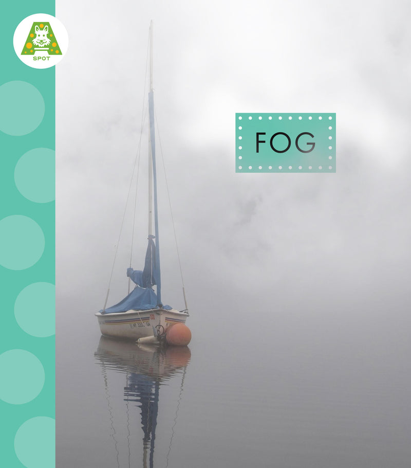 Fog
