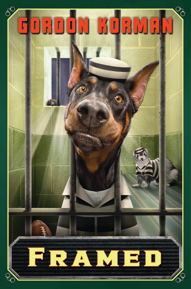Framed (Swindle #3)