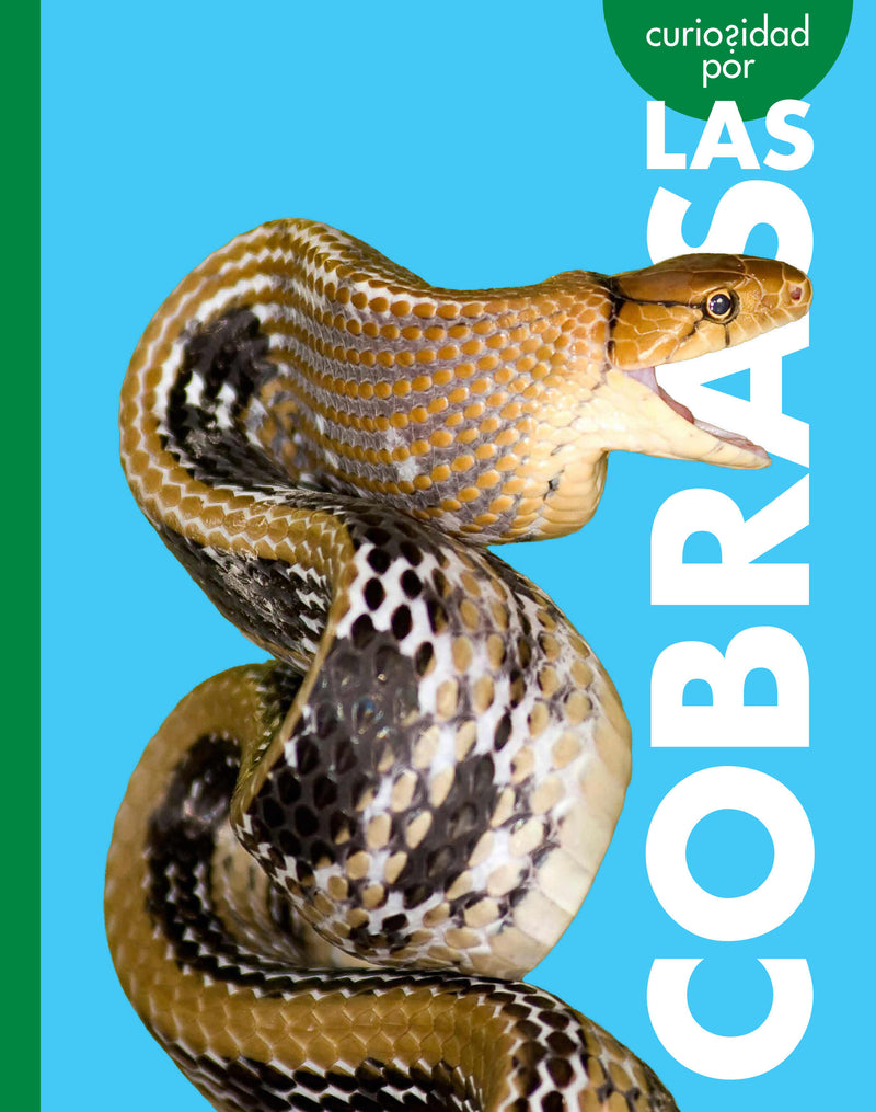 Curiosidad por las cobras