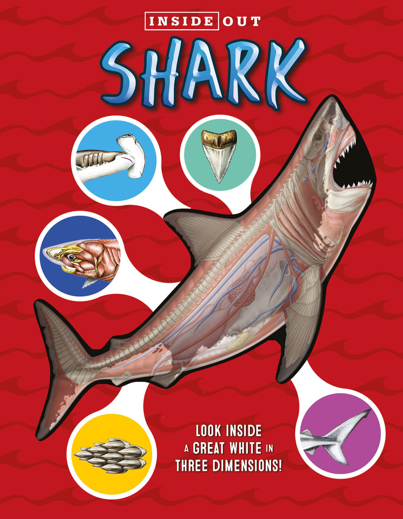 Inside Out Shark