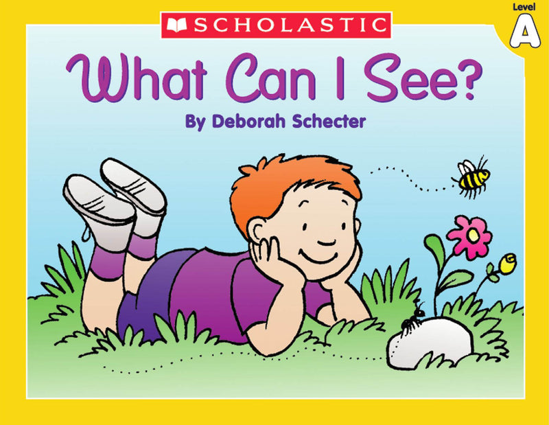 Little Leveled Readers: Level A - What Can I See?