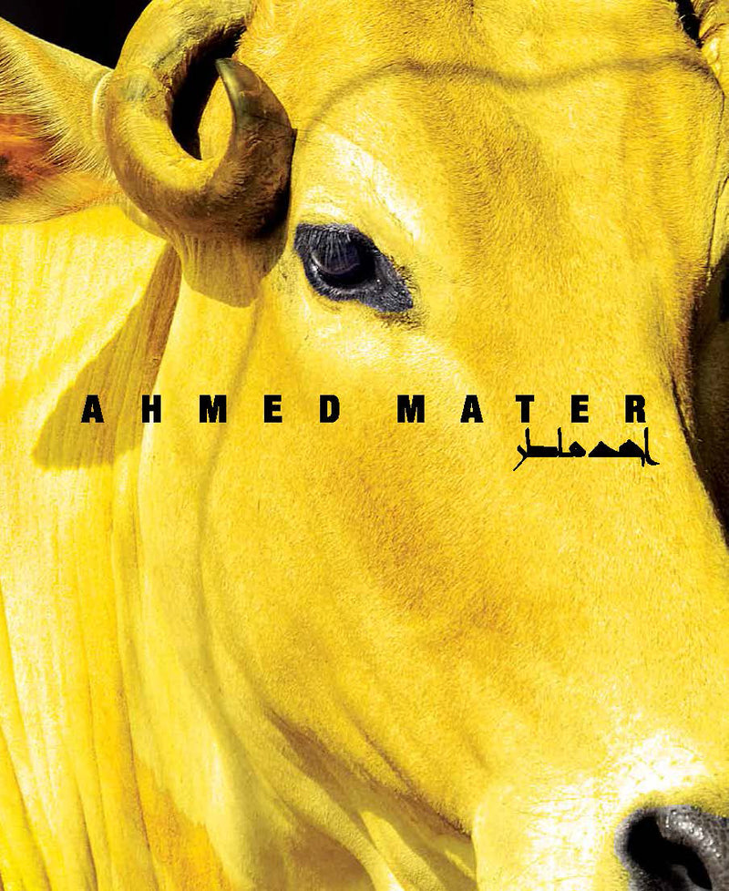 Ahmed Mater