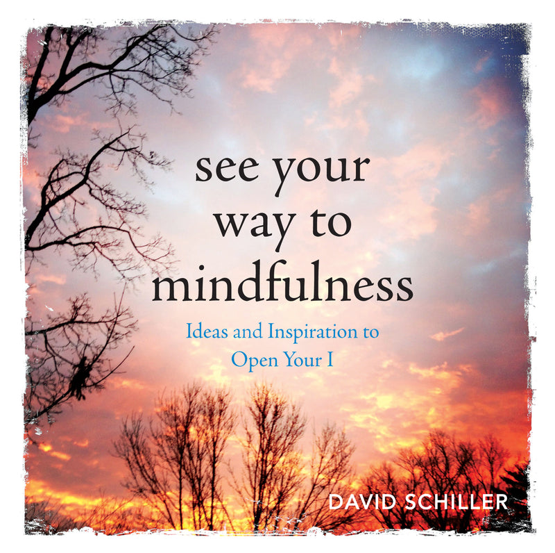 See Your Way to Mindfulness