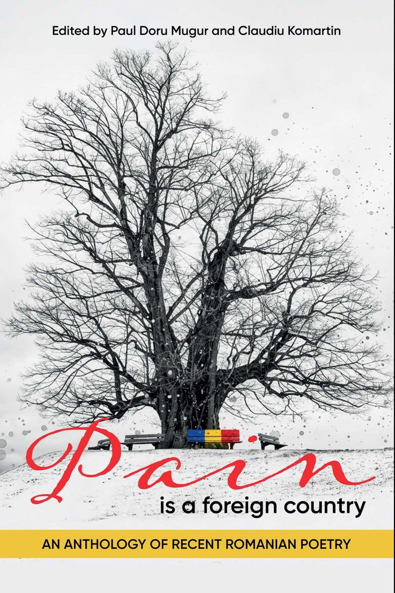Pain is a Foreign Country