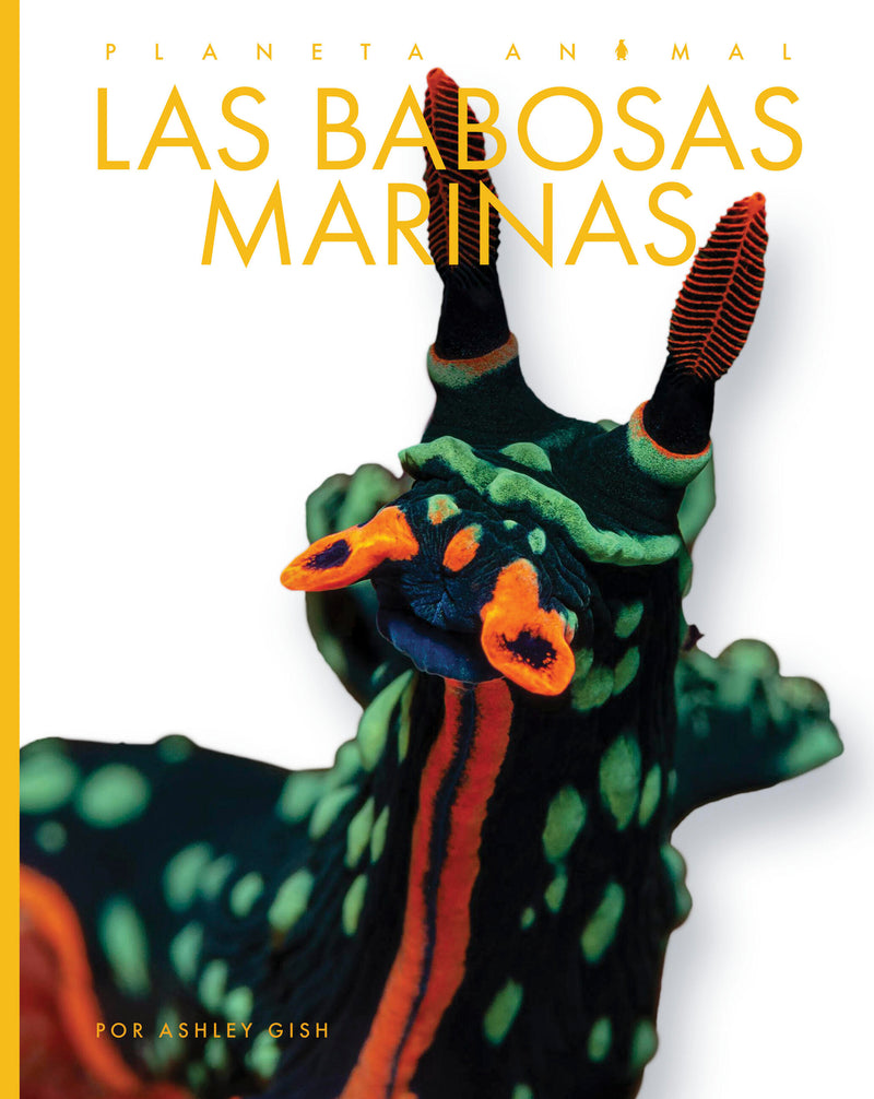 Las babosas marinas