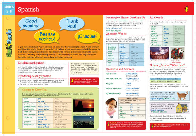 Spanish FlashCharts