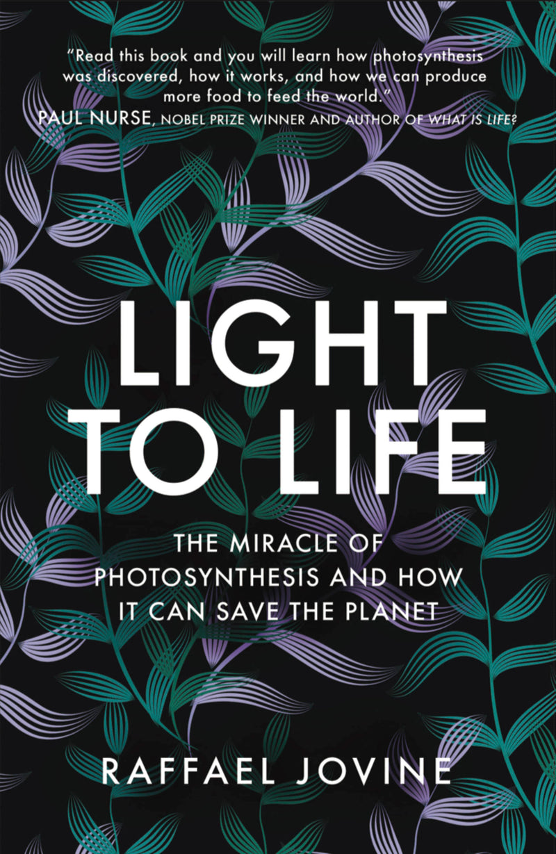 Light to Life