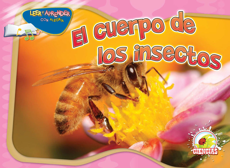 El cuerpo de los insectos: Insect's Body