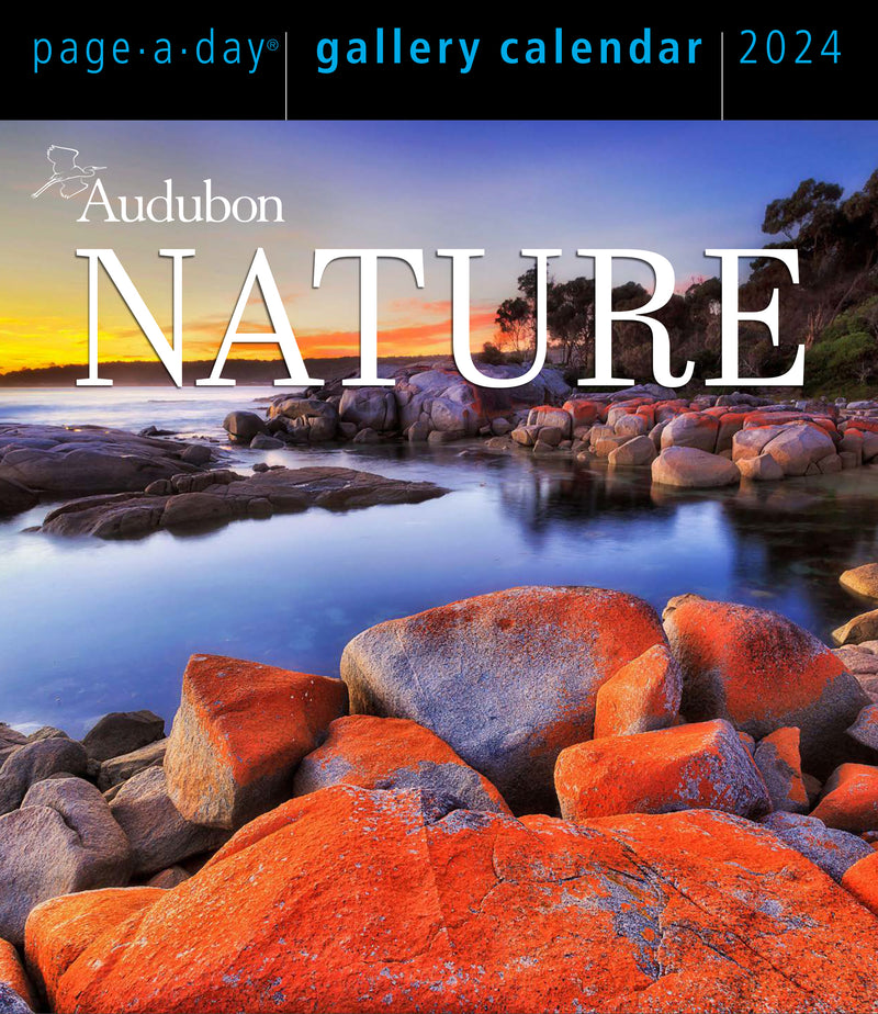 Audubon Nature Page-A-Day Gallery Calendar 2024