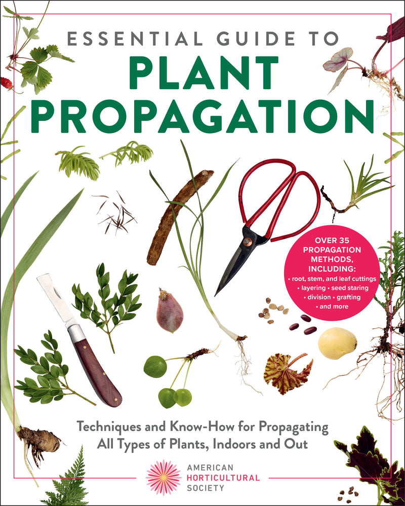 Essential Guide to Plant Propagation