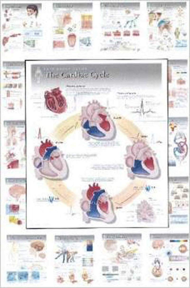 Physiology Wall Charts Set of 20